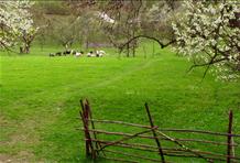 Maramureș - Traditional Villages of Northern Romania